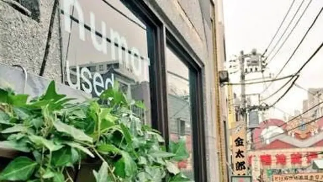 【おばあちゃんの原宿 巣鴨】若者も楽しめる商店街の歩き方