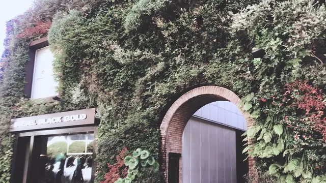 表参道でお洒落なデート😌