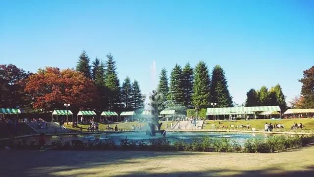 【都内】ゆっくりとした時間が流れる公園まとめ
