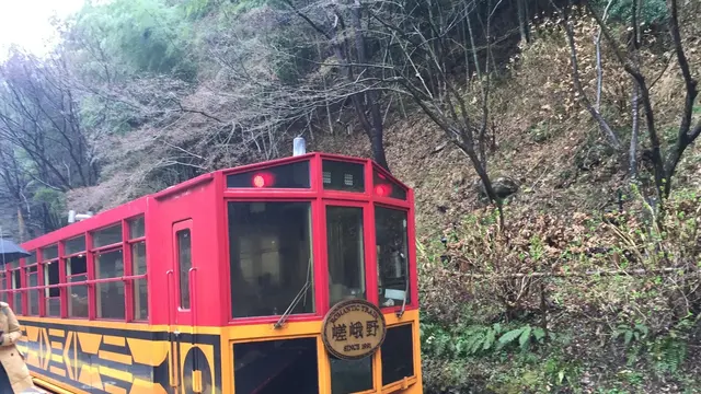 初めての嵐山