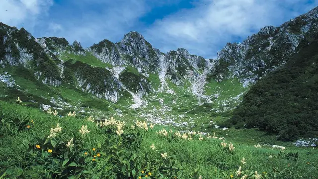 【7~8月】高山植物の宝庫中央アルプス千畳敷カール 標高2,612mへロープウェイで誰でも行ける絶景