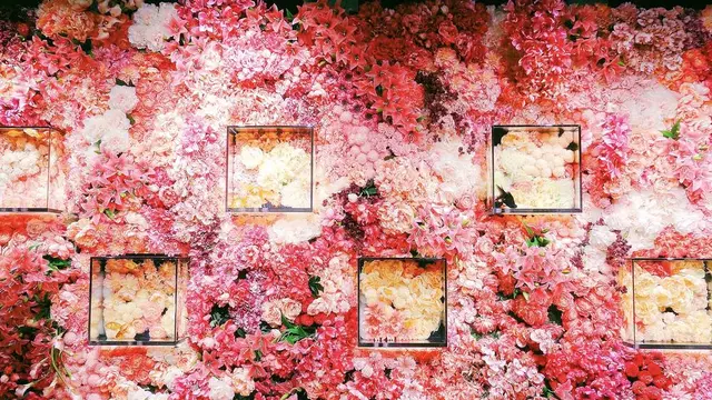 奈良にもあった！超インスタ映えSPOT発見！カップルにオススメのおしゃれSPOT