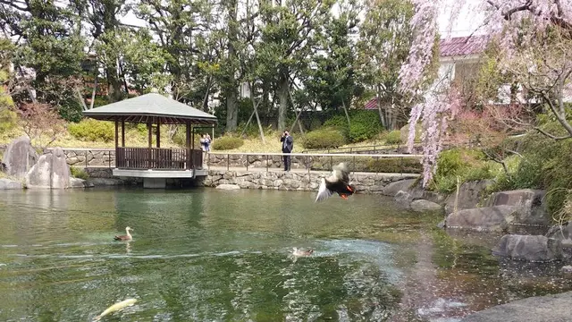 「Walk in Her Shoes」2019TOSHIMAさくらチャリティーイベントモデルコース