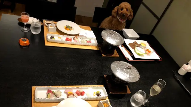【鹿児島・霧島】愛犬と一緒旅♪