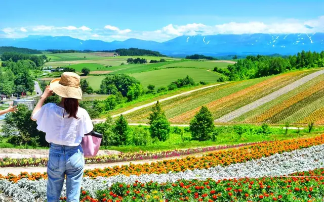 ファーム富田