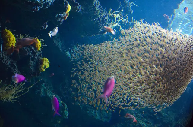 アクアマリンふくしま