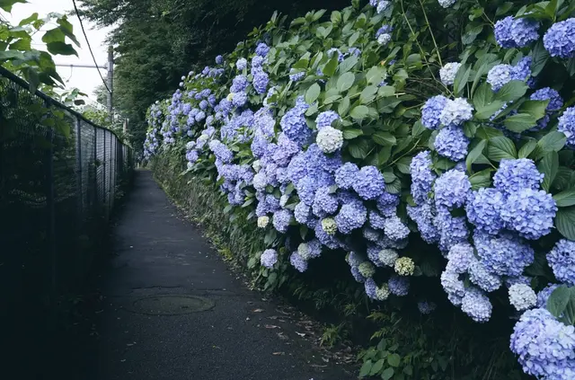 飛鳥山公園