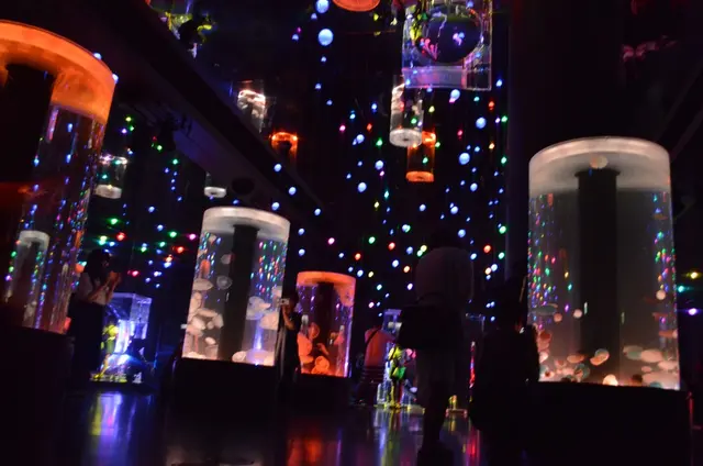 マクセル アクアパーク品川