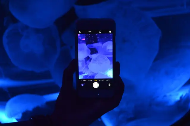 マクセル アクアパーク品川