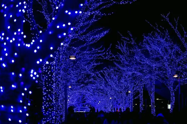 青の洞窟 SHIBUYA