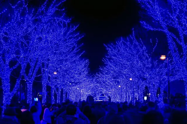 青の洞窟 SHIBUYA