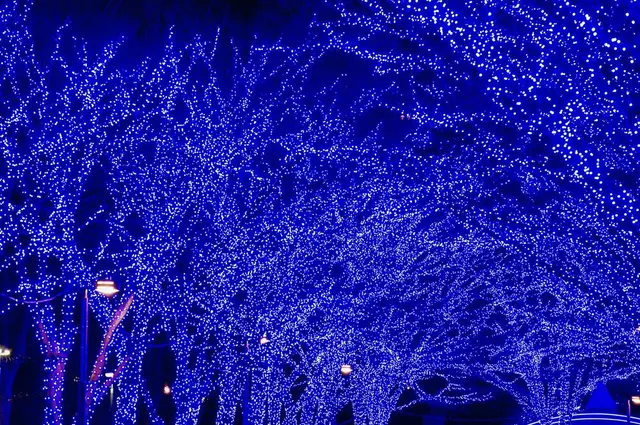 青の洞窟 SHIBUYA