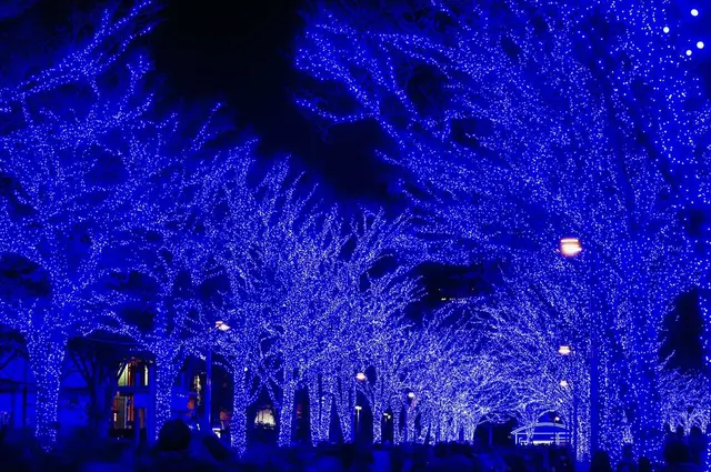 青の洞窟 SHIBUYA