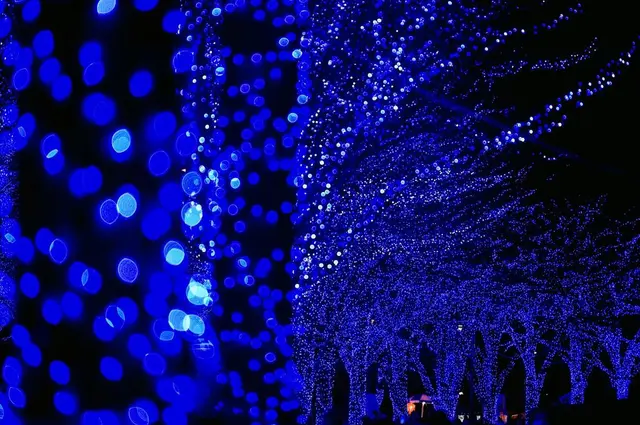 青の洞窟 SHIBUYA