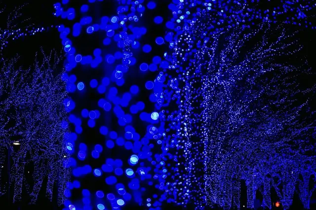 青の洞窟 SHIBUYA