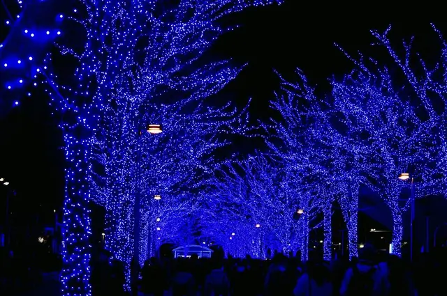 青の洞窟 SHIBUYA