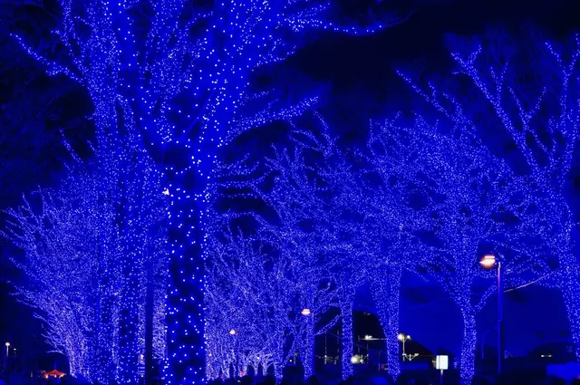 青の洞窟 SHIBUYA