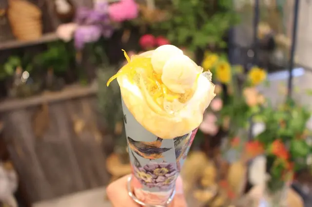 タジマジ （Taji Maji）