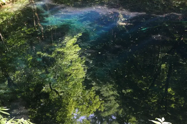 青池