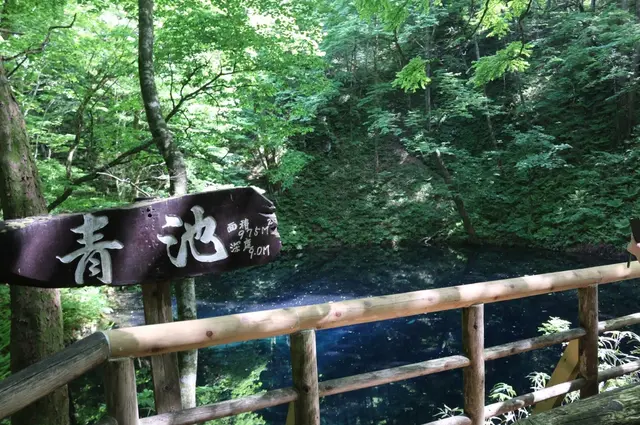 青池