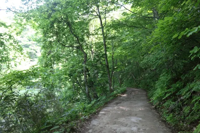 青池