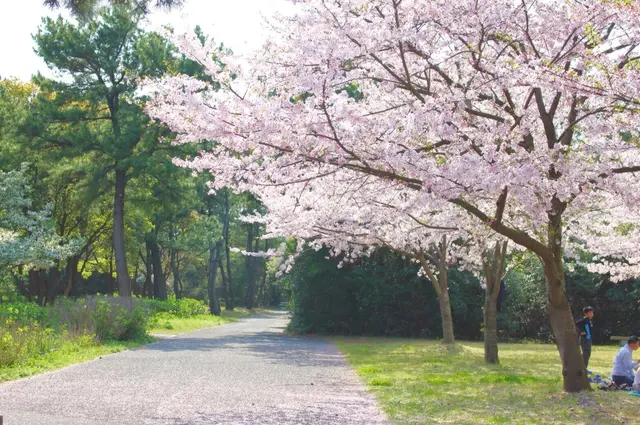海の中道海浜公園
