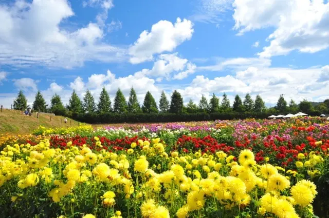 世羅高原農場
