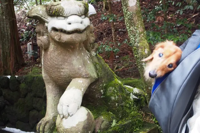 箱根神社