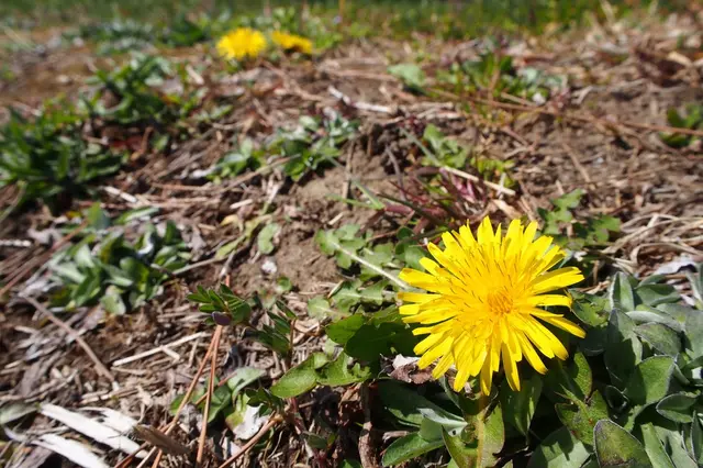 大森海苔のふるさと館