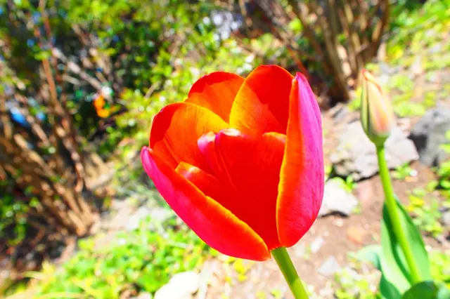 大森海苔のふるさと館
