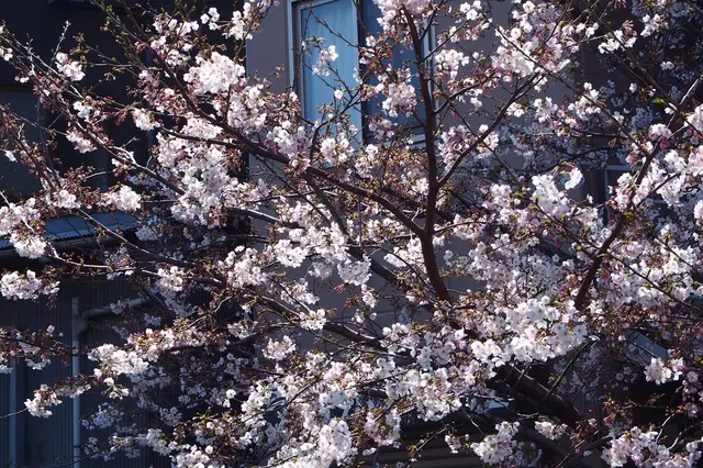 大森海苔のふるさと館