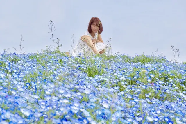 国営ひたち海浜公園