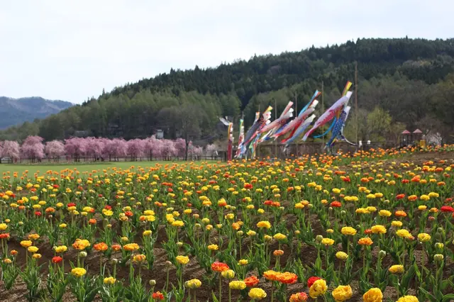 山中湖花の都公園
