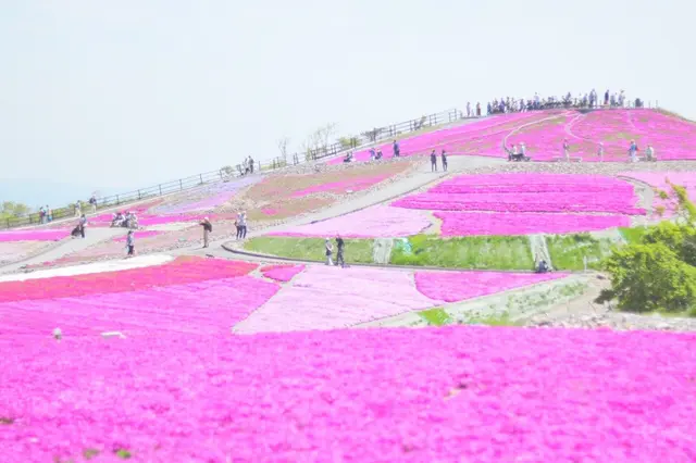 茶臼山高原