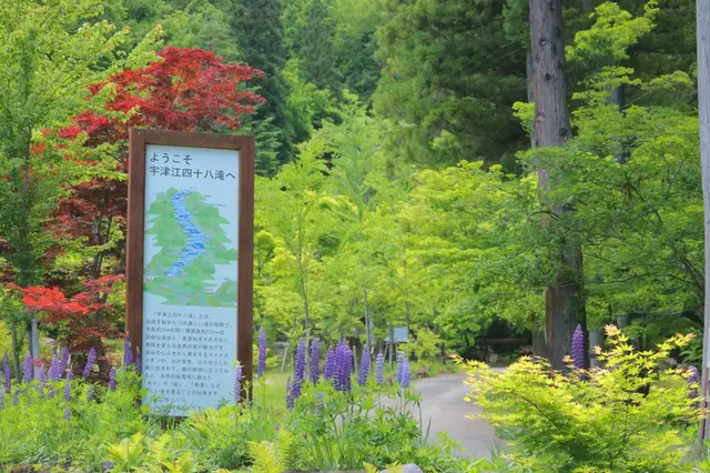 県立自然公園宇津江四十八滝