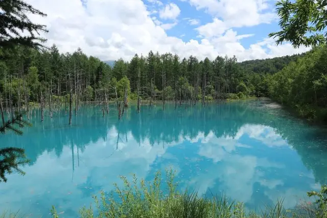 白金青い池