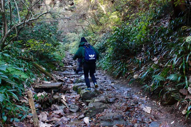 高尾山