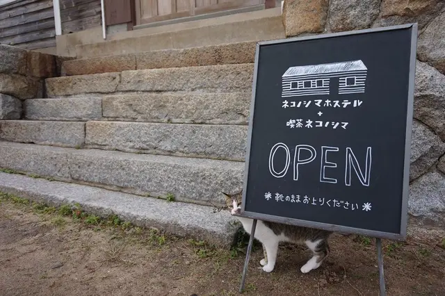 ネコノシマホステル