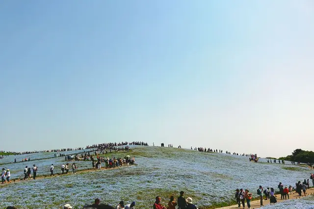国営ひたち海浜公園