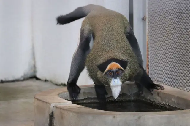 旭川市 旭山動物園