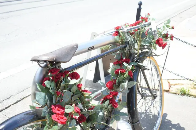 ドロフィーズインテリア