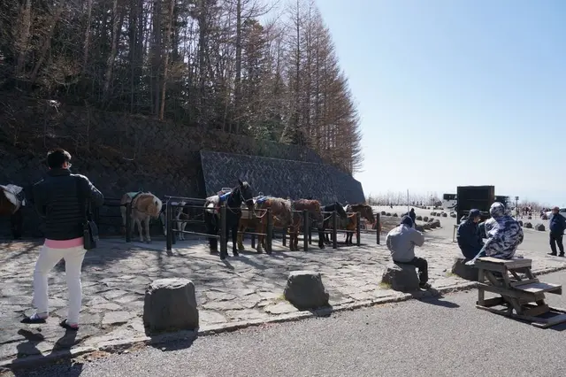 富士スバルライン五合目