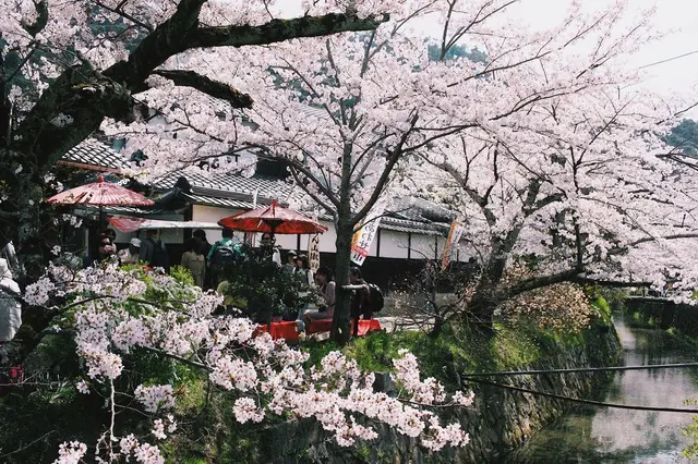 哲学の道