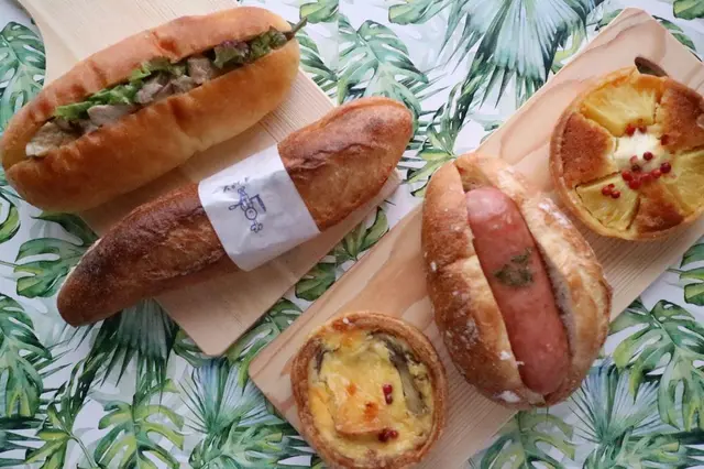 OPAN オパン