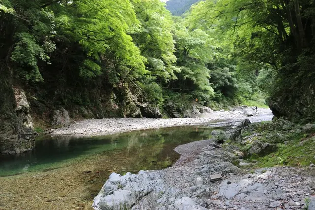 清水苑キャンプ場