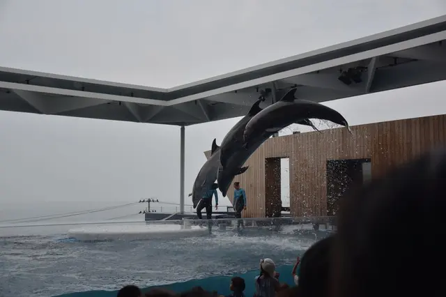 上越市立水族博物館 うみがたり（旧：上越市立水族博物館）
