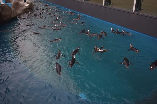 上越市立水族博物館 うみがたり（旧：上越市立水族博物館）