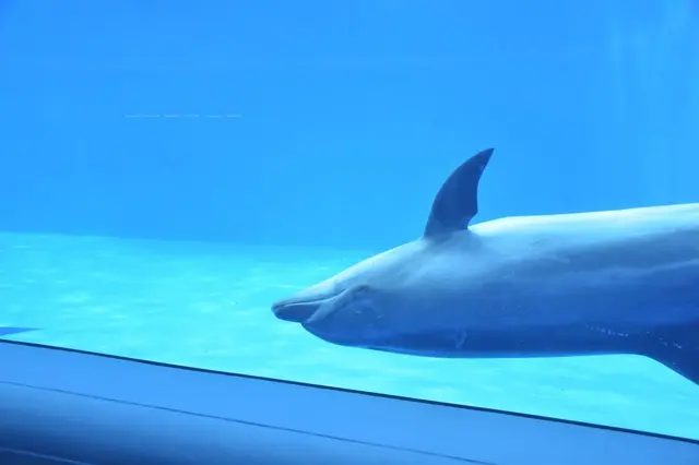 上越市立水族博物館 うみがたり（旧：上越市立水族博物館）