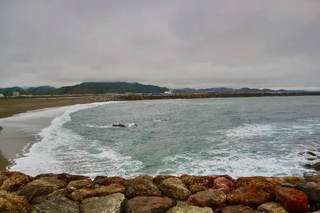 桂浜