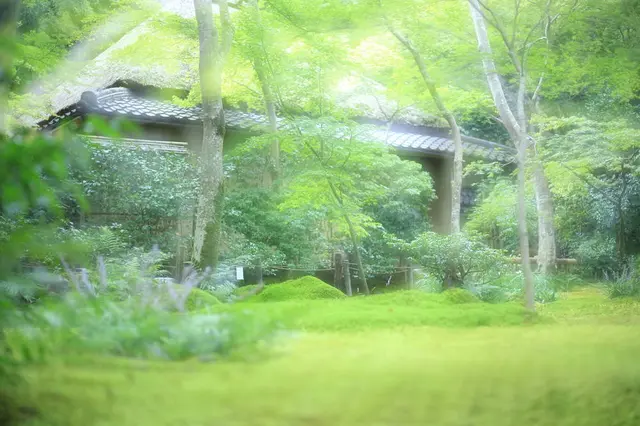 祇王寺